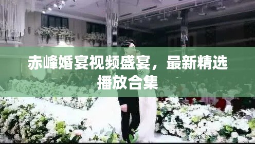 百不得一 第3页