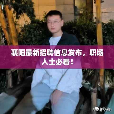 襄阳最新招聘信息发布,职场人士必看!