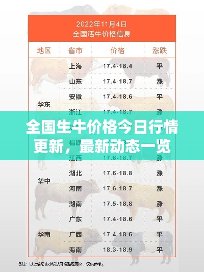 全国生牛价格今日行情更新，最新动态一览