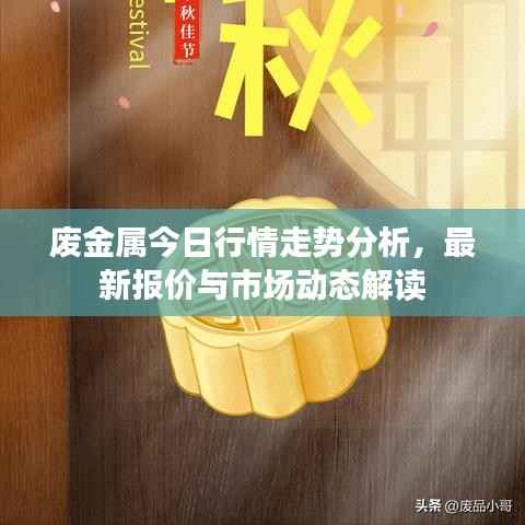 废金属今日行情走势分析,最新报价与市场动态解读