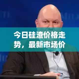 今日硅渣价格走势，最新市场价格分析与预测