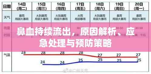 鼻血持续流出,原因解析、应急处理与预防策略