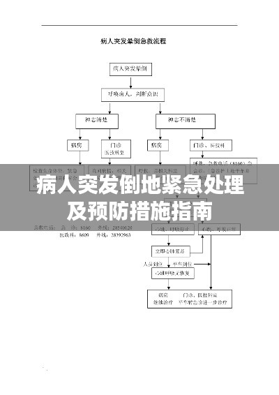 病人突发倒地紧急处理及预防措施指南