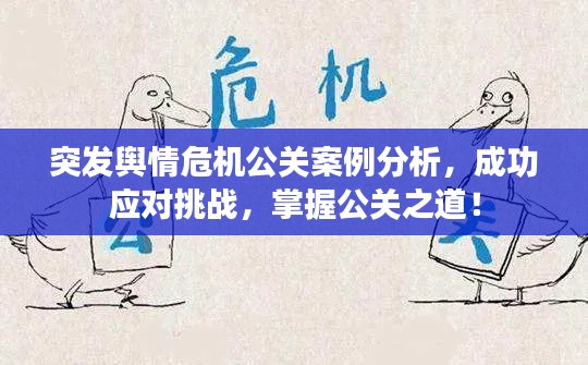 突发舆情危机公关案例分析，成功应对挑战，掌握公关之道！
