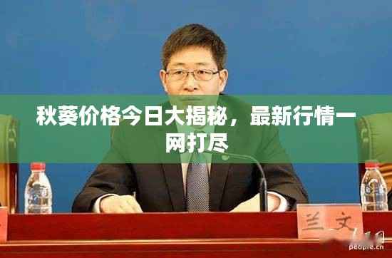 秋葵价格今日大揭秘,最新行情一网打尽