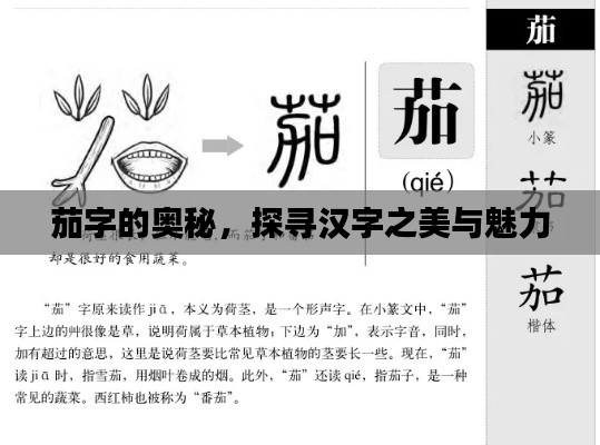 茄字的奥秘，探寻汉字之美与魅力