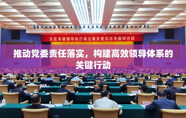 推动党委责任落实，构建高效领导体系的关键行动