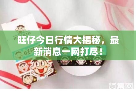 旺仔今日行情大揭秘,最新消息一网打尽!